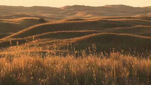 Tonight we are taking you on a journey to some of the most spectacular locations across Nebraska! From towering canyons to underground caves, we're exploring the state's natural wonders from top to bottom. Don't miss this breathtaking episode of #NebraskaStories tonight at 8:00pm CT on Nebraska Public Media! | Nebraska Stories