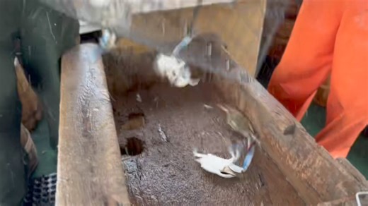 We will have crabs both locations | Decatur's Crabs