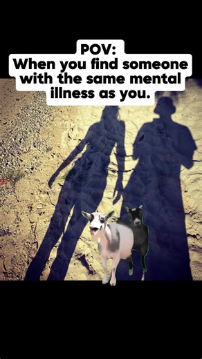 Best Friend Moments: Funny Video Compilation