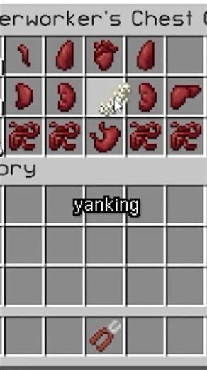 Performing Surgery in Minecraft