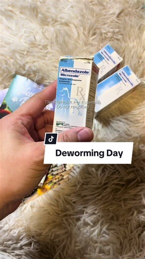 Comprehensive Guide to Deworming Cats and Dogs