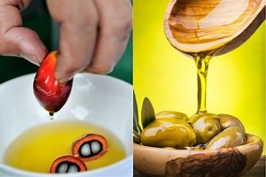 Palm Oil Vs Olive Oil: What Oil Is Best For Your Health