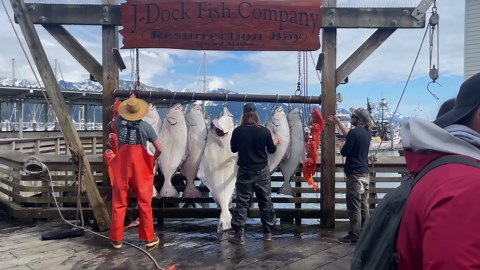 Best Travel Destinations in The World 4K