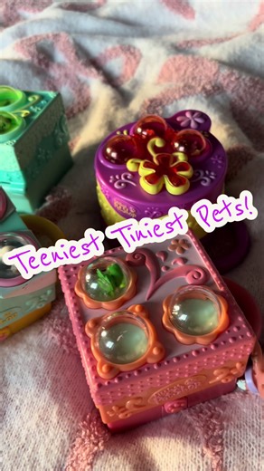 This find totally unlocked a memory. Does anyone else remeber the teeniest tiniest pets? They are so cute and tiny 🥹 #LPS #littlestpetshop #lpstiktok