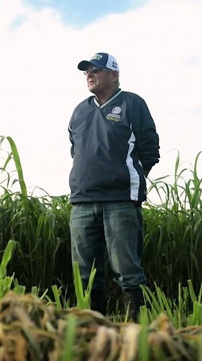 Benefits of Extending the Grazing Season