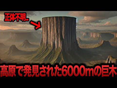 【ゆっくり解説】歴史上最も大きな巨木を発見..内部を調査した時の映像が流出か..【都市伝説 ミステリー】