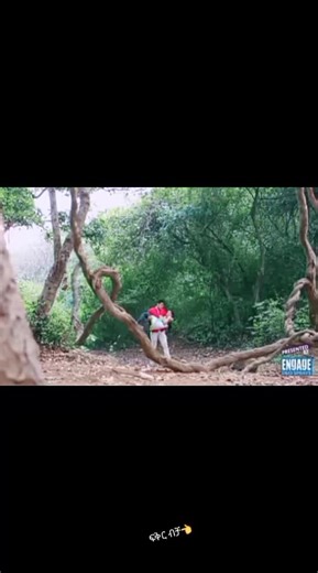 Romantic Outdoor Moments with a Loving Couple