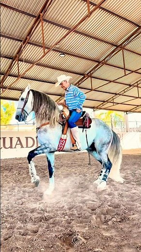 Cuadra Memo La Liebre, Union De San Antonio Jalisco 🇲🇽