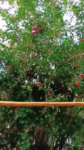 learn how to knots #cableknots #cabletips #reelsfb #cabletricks #knots | Cabletips