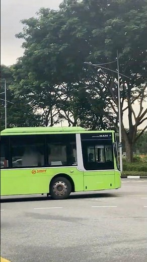 MAN Lion's City SD A22 (Euro VI, ZF EcoLife) - Departing Traffic Stop (SMRT Buses Express 502A)