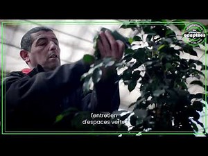 🎥 Les Entreprises Adaptées : la performance qui a du sens – Épisode : CADIFLOR 🌿🐝
