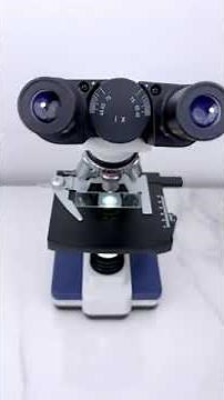 Human sperm under the microscope🔬view.‪@bmltlab6037‬