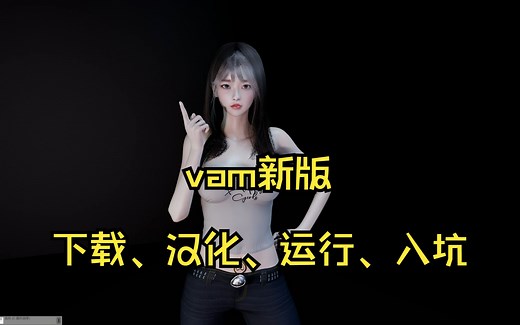 vam下载、激活、汉化、入坑指南