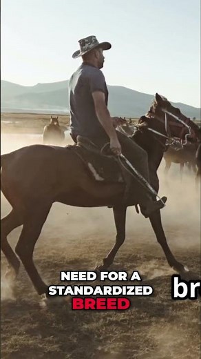 The Cattle Dog That Changed Australia Forever