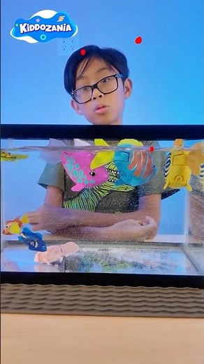 Robo Aquatic Toys in an Aquarium | Swimming Robot Fish Play