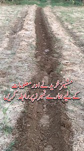 67K views · 874 reactions | Mini Trencher Machine for digging use | #sobyagromachinery #advance_technology #trenches #reelsfb | Soby Agro Machinery | Facebook