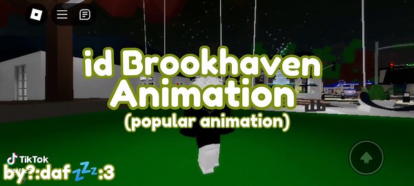 Popular Animation in Brookhaven Roblox - Roblox Animation Videos