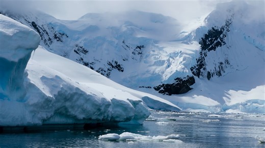  NEW AT THE IMAX®TELUS THEATRE Bring the family to see “Dinosaurs of Antarctica 3D” 練 Better yet! Make it a 100% dino-tastic day and pair up your film with the “Dinosaurs Around the World” exhibition at the Centre des sciences de Montréal - Montreal Science Centre !  Buy your tickets online now: https://bit.ly/3yaXAWt @ | Vieux-Port de Montréal - Old Port of Montréal | Facebook