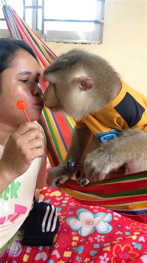 Hilarious Jason Take Chance Kiss To Join Eat Lollipop | Monkey Jason