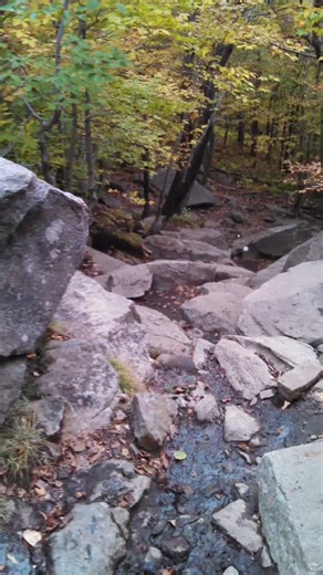 Mt Monadnock white dot trail