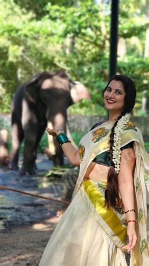 Jolly Bhatia Parab on Instagram: "बेपरवाह 🦋🐘 . . #elephant #elephantsanctuary #keraladiaries🌴"