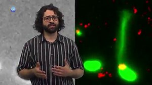 2.6K views · 71 reactions | Harpooning DNA, harvesting H2O, hopping...