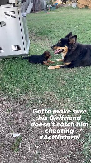 3.1K views · 92 reactions | Gotta make sure his girlfriend doesn't catch him cheating #ActNatural | DARE Inc | Facebook