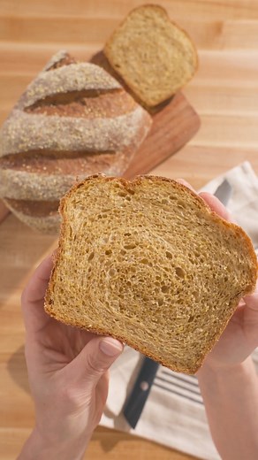 Sweet molasses and hearty cornmeal come together for a classic New England loaf with rich flavor and a soft, golden crumb. Anadama Bread is old-fashioned comfort made easy with our Folding Proofer. 🍞 Ready to bake a new loaf? Get the full recipe here: https://brodandtaylor.com/blogs/recipes/anadama-bread | Brod & Taylor