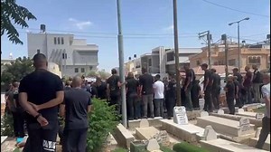 بانيت Panet on Reels