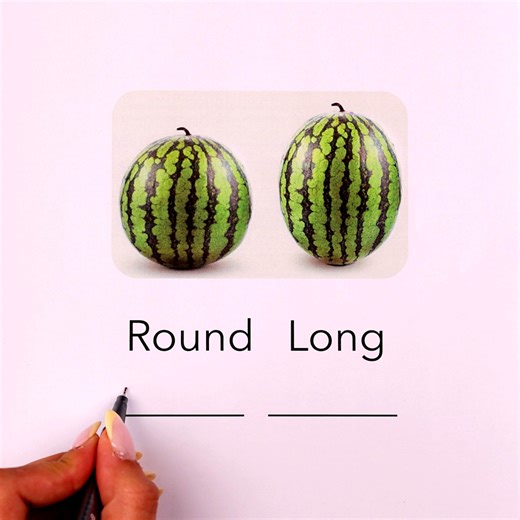 Choosing the perfect watermelon 🍉✔️