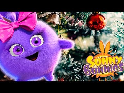 Cartoons for Children | Sunny Bunnies - CHRISTMAS TREE | Cartoon Full Episode