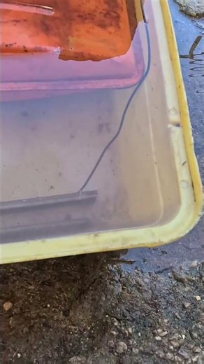 Part 2: How to clean a Piva M9 rototiller fuel tank using homemade electrolysis