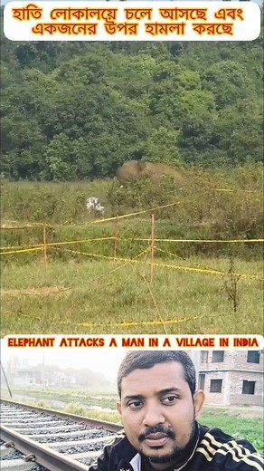 Elephant attacks a man in a village in India #elephant #attacks #man #indian #100k #village #india #OMG #reelsfypシ #reels #foryou #share #like #Putin | Shofiqul Islam 0.2
