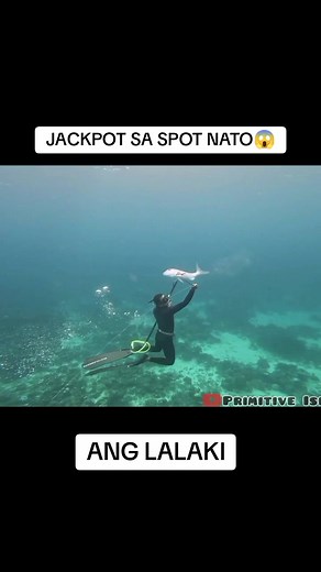 SPOT NA SIGURADONG BABALIKAN #primitiveislander #spearfishing #catchandcook #engagement #trending