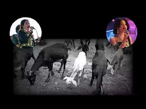 Angela Aguilar / Mary Cruz - EN DUETO EL PASTOR