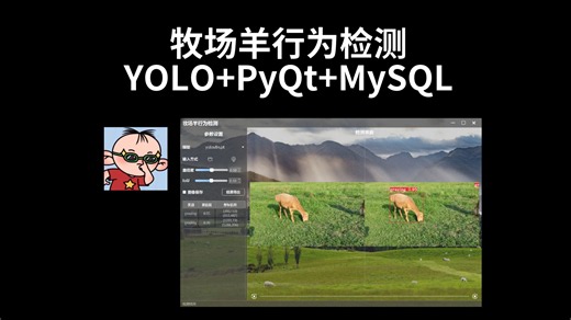 牧场羊行为检测模型，YOLOv5/v8/11/12/26 PyQt MySQL
