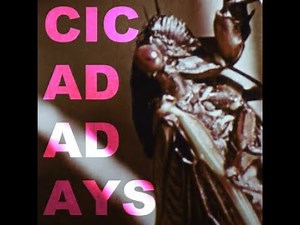 Will Wood - Cicada Days (KARAOKE!)