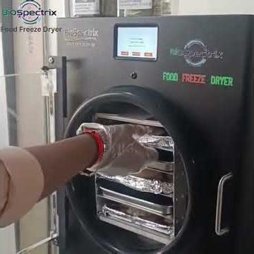 Idli drying on BioSpectrix Food Freeze Dryer