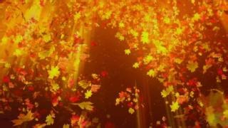 T. Graham Brown on Reels