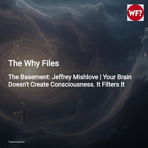 Your Brain as Filter — The Why Files: Jeffrey Mishlove (Condensed) - AI Podcast Summaries from Transcripted.ai (VIDEO)