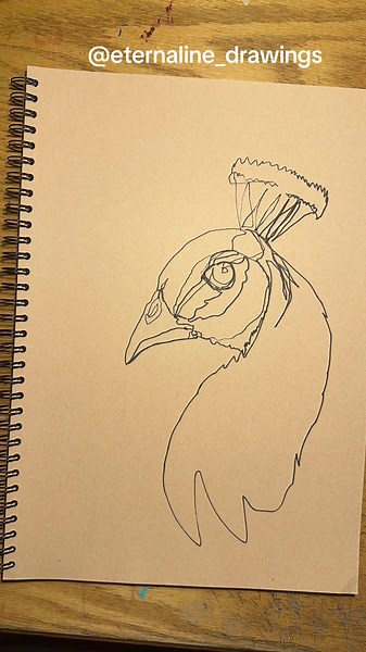 Two-Handed Peacock Drawing: Two-Handed One-Line Peacock Art