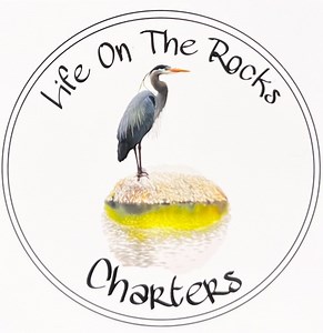 Excursions | Life On The Rocks