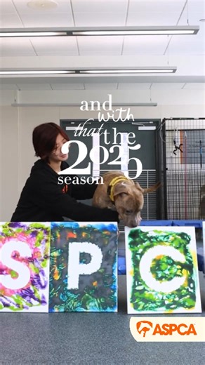 🎉 2025 was a big year at the ASPCA, and we couldn't have done it without YOU! From the 18,000 animals we helped during large-scale cruelty cases or natural disasters, to the hundreds of animals adopted across our nationwide programs, we were able to positively impact so many lives. Together, we're able to advocate and go further for those who cannot speak for themselves, and we can't wait to see what 2026 holds. Thank you for helping us make a difference this year! #ASPCA #EndofYear #2026 | ASP