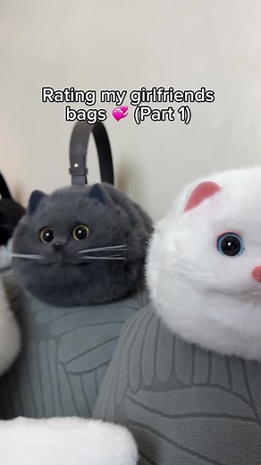 Her purrfect collection 😳👛🐈‍⬛