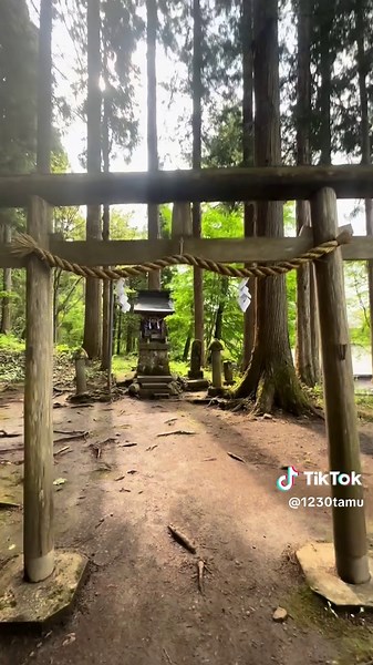 #戸隠神社中社 #三浦祐太朗 #夢先案内人 中社（ちゅうしゃ）社殿は寛治元年（1087年）に創建 御祭神 天八意思兼命 あめのやごころおもいかねのみこと） 天岩戸にお隠れになった天照大神を外に出すため、岩戸神楽を創案し、知恵を授けたといわれている神様 狩野派の絵師 河鍋暁斎によって描かれた「龍の天井絵」が社殿の天井 樹齢700年を超えるご神木や、樹齢800年を超える三本杉 中社社殿の右側にあるさざれ滝