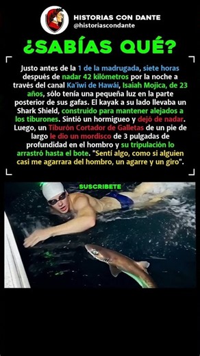 Tenían Repelente de Tiburones y, AUN ASÍ, Un Tiburón de Un Pie de Largo Le Mordió.