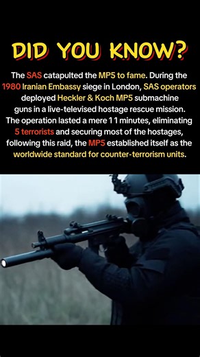 MP5 became famous in one fell swoop and established its status as a global anti-terrorism force.