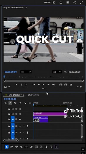 Easy Text Reveal In Premiere Pro?#Trick #TextReveal #QuickCut #tutorial #editing #premierepro