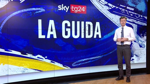 La Guida: Musk, MEGA e l'Europa da dividere