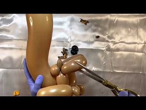 ASMR - Squirrel Balloon Animal Popping